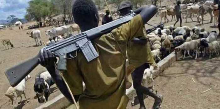 Insecurity: Edo traditional ruler orders herders out of community