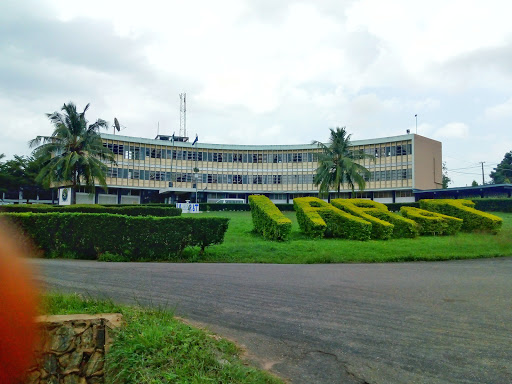Pay our December salary, no more excuses, IAR&T workers to FG