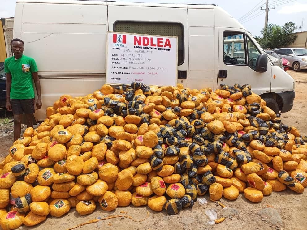 NDLEA  intercepts cocaine in Saudi-bound religious books