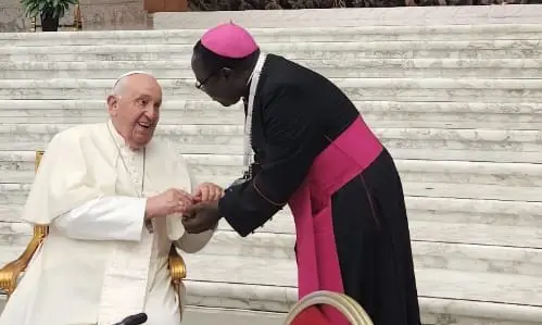 TRIBUTE: Pope Francis [1936-2025]: His times and seasons, By Mathew Kukah