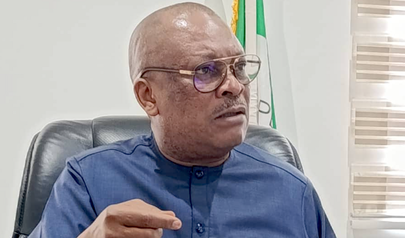 Why PDP reinstated Anyanwu as national secretary – Damagum