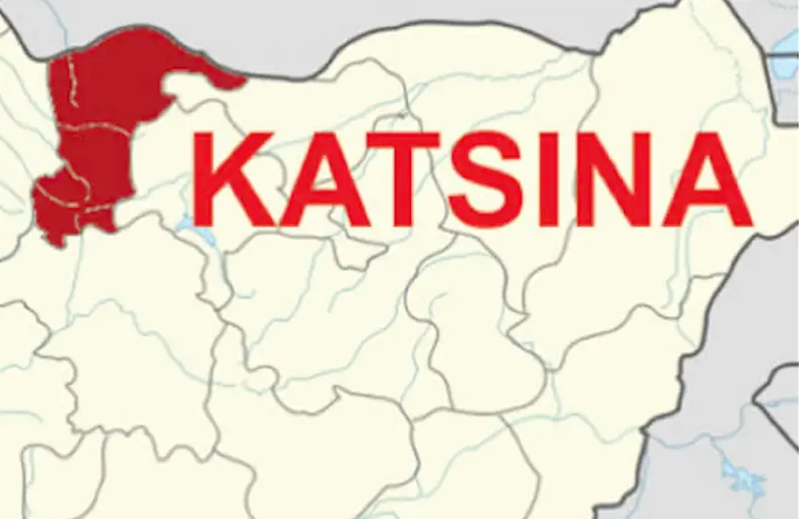 Katsina CSOs raise alarm over healthcare staff shortages