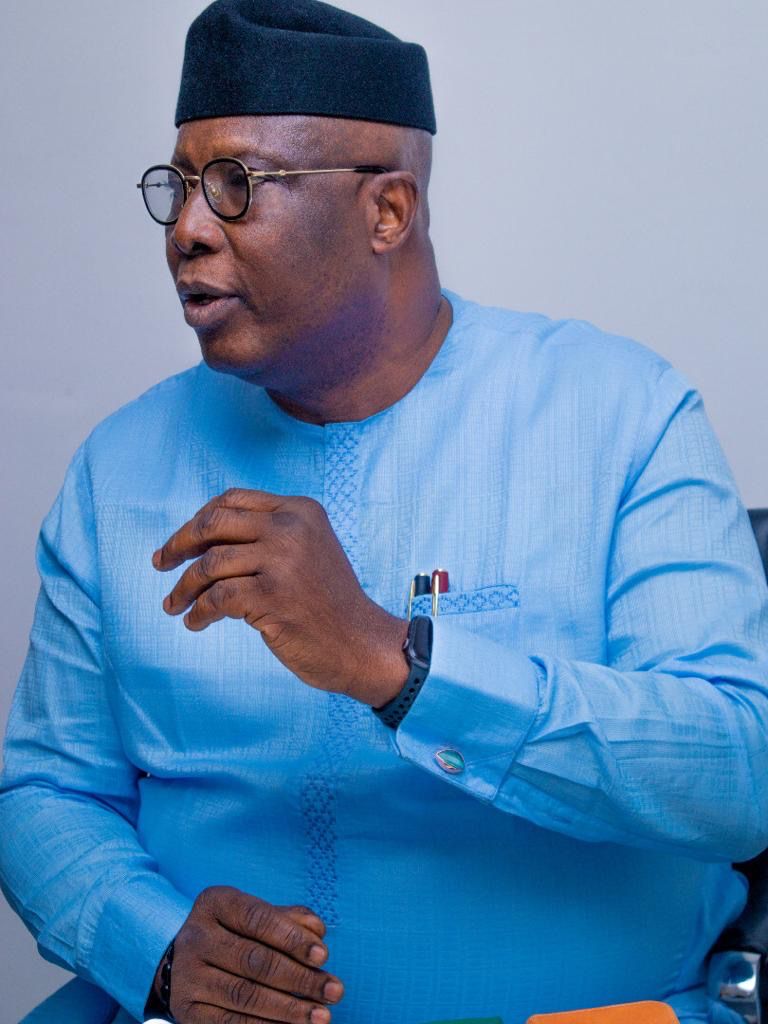 National Awards: True dividend of democracy must go beyond symbolic recognition-Sen Ojudu