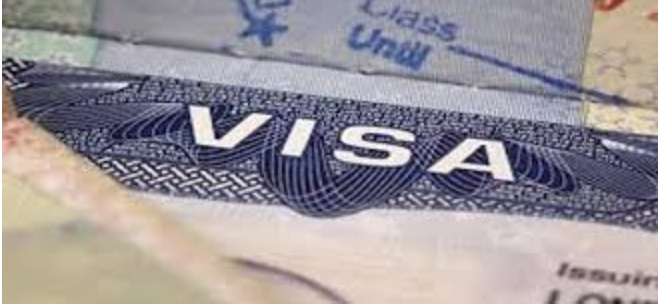Saudi Arabia suspends work visas for Nigeria, 13 other countries