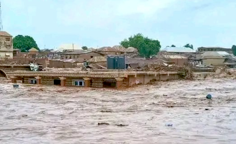 Mokwa floods: 700 persons still missing- Niger Govt
