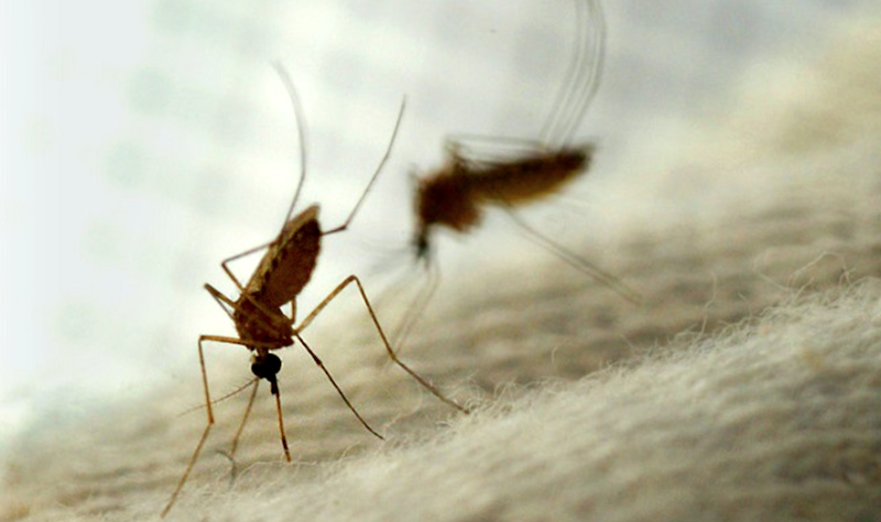 95% of fevers in Lagos not malaria – Commissioner