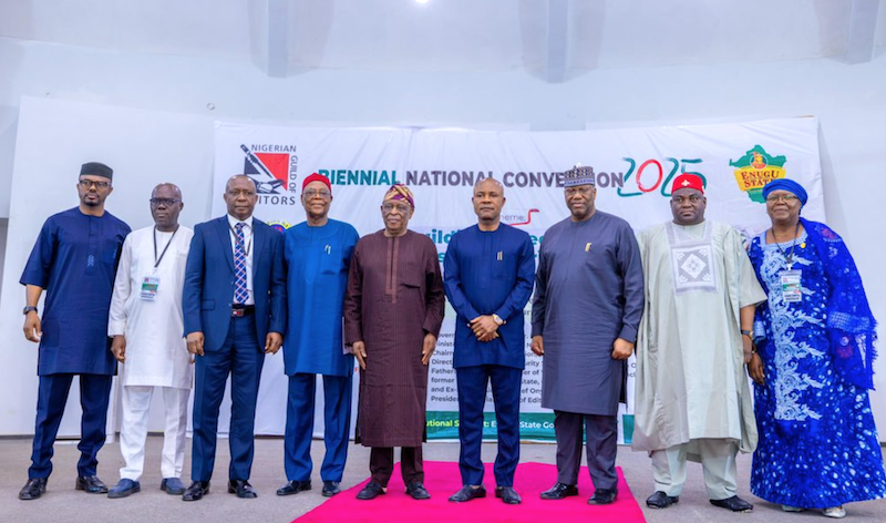 Nigerian Guild of Editors re-elects Anaba as President