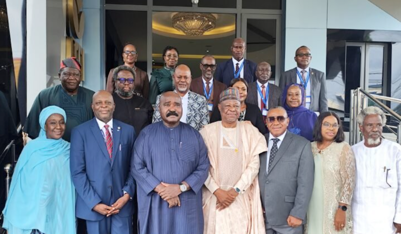 Igbinedion University appoints Chairman of governing council