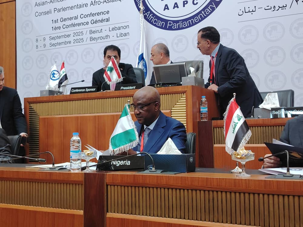 Speaker Abbas moots Africa-Asia trade, investment frameworks at parliamentary conference